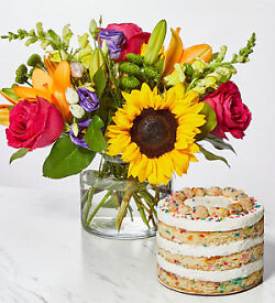 Best day ever cake bundle