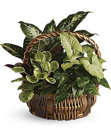 Emerald garden basket