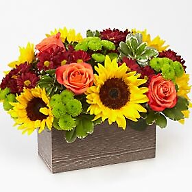 Happy Harvest Garden