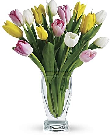 tulip treasure