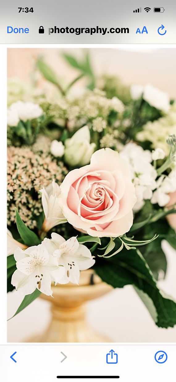 Wedding specials