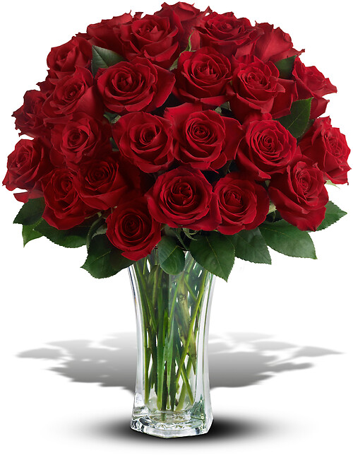 Love and Devotion